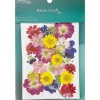 Dried Spring Flowers