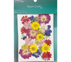 Dried Spring Flowers
