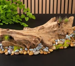 Driftwood Tabletop Décor Piece