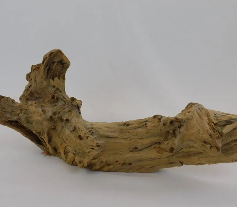 Driftwood Tabletop Décor Piece