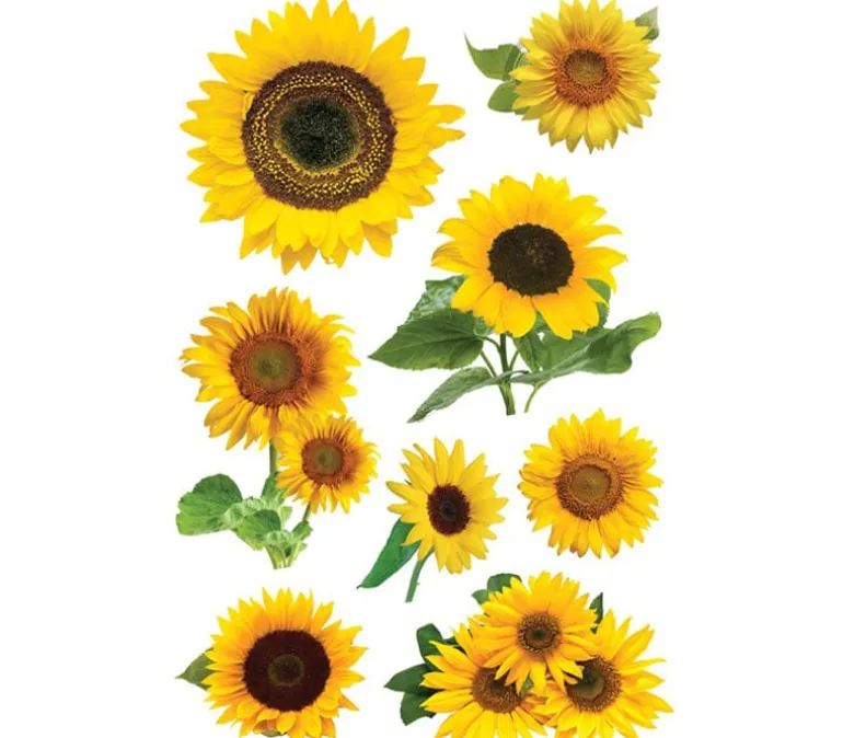 3D Stickers – Sunflower