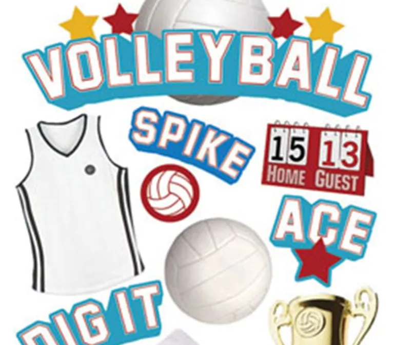 3D Stickers – Volleyball