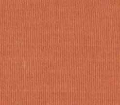 Dunroven House Sage Terracotta Pumpkin on White Large Check Tea Towel