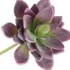 5″ Dusty Green Sedum Pick