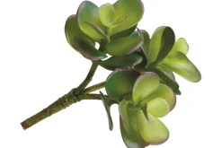 5″ Dusty Green Sedum Pick