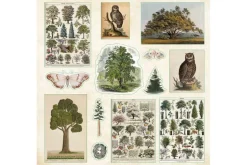 Enchanted Forest Sticker Book