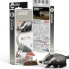 EUGY 3D Model Kit – Badger