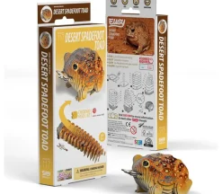 EUGY 3D Model Kit – Desert Spadefoot