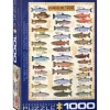 Eurographics Northern Lights Puzzle – 1000 Piece