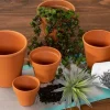 Euro Rose Pot – 4-inch