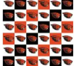 Fabric – Oregon State Diagonal Patch