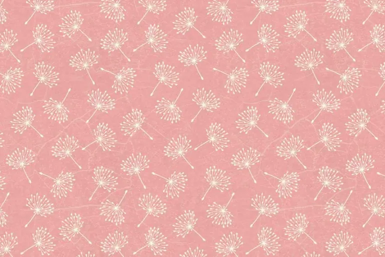 Fairy Boutique Spinkle Magic on Pink