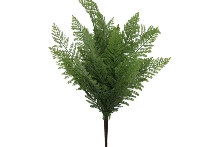 19″ Fern Bush