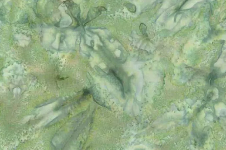 Ferns Batiks Fern Allover in Fern Green