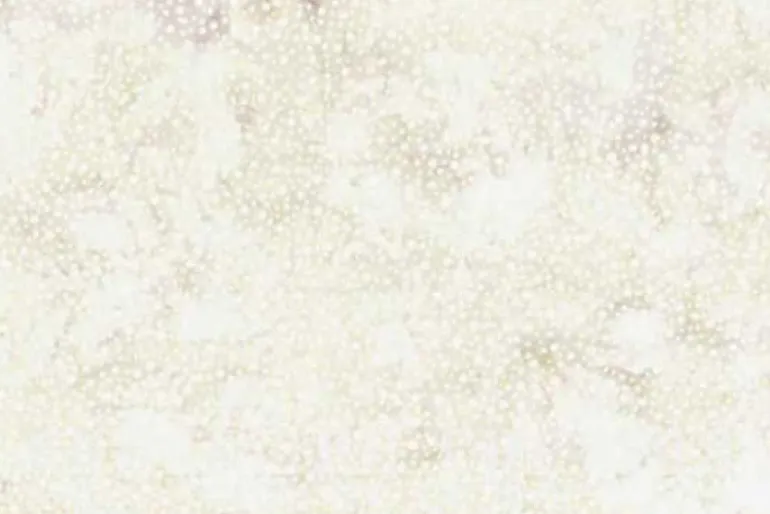 Ferns Batiks Fern Allover in Oyster Beige