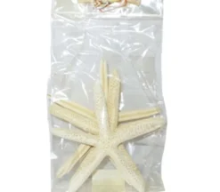 Finger Starfish 5-6inch – 4 Piece