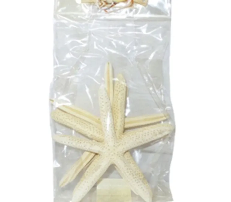 Finger Starfish 5-6inch – 4 Piece