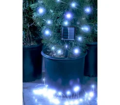 Firefly Lights 100 Bulb – Warm White – Solar Powered