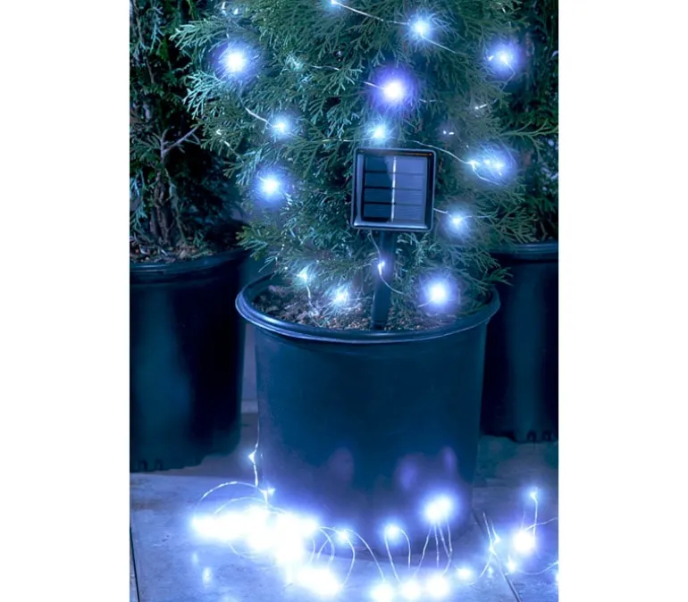 Firefly Lights 100 Bulb – Warm White – Solar Powered