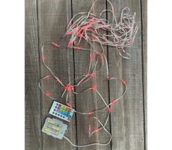 Firefly Lights on PVC Cord 100 Bulb – Multi Color – Silver Wire