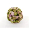 Floral Ball – Flowering Succulent – 4-inch