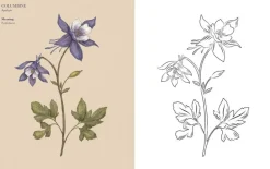Florigraphy Coloring Book