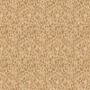 Forest Fruits Morel Mushroom Texture in Tan