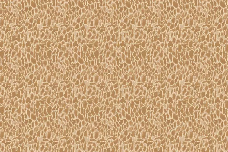Forest Fruits Morel Mushroom Texture in Tan