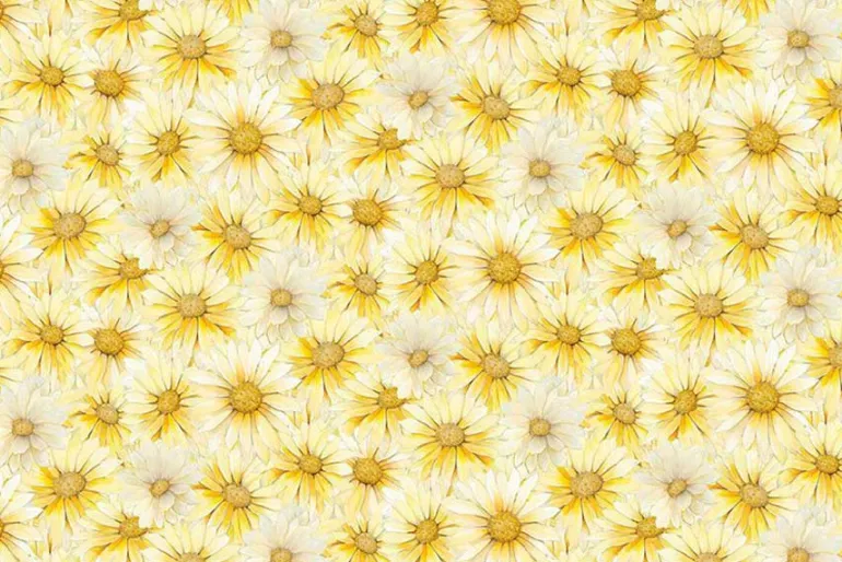 Forest Whisper Daisies in Bloom on Blue
