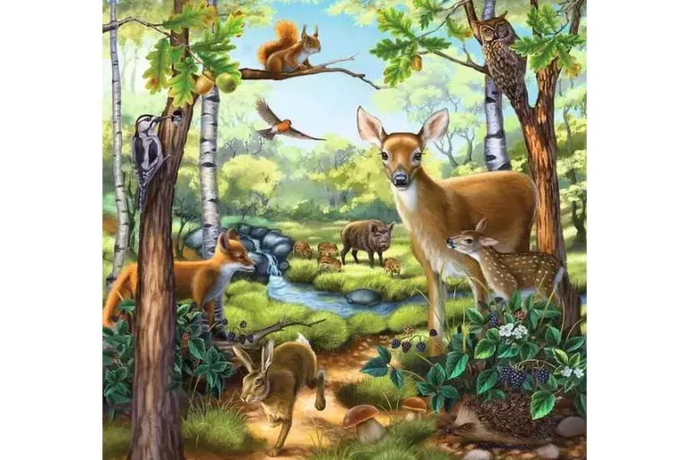 Forest, Zoo, Domestic Animals – 49 XL Piece 3 Puzzle Set