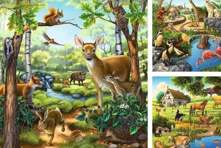 Forest, Zoo, Domestic Animals – 49 XL Piece 3 Puzzle Set