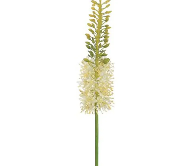 35″ Foxtail Lily Spray, Cream