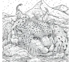 Fragile World Coloring Book