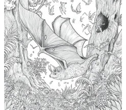 Fragile World Coloring Book