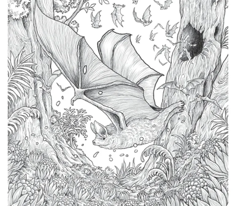 Fragile World Coloring Book