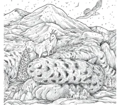 Fragile World Coloring Book