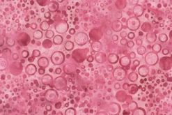 French Rose Batiks Daisies in Pink