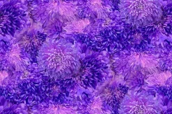 Garden Delight Bubble Texture Aqua