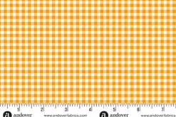 Ghostly Garden Bitty Gingham Orange and White