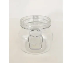 Glass Plant Mister – Decorative Water Sprayer
