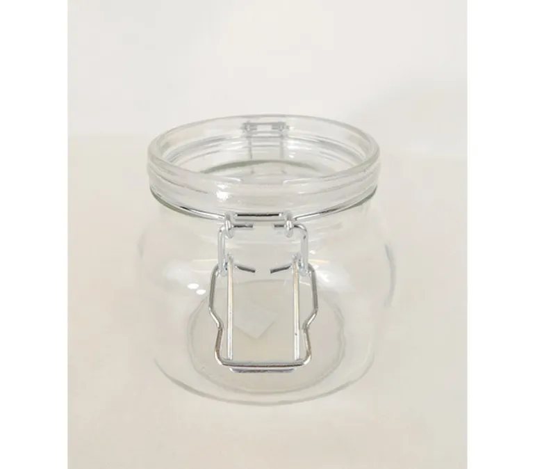 Glass Plant Mister – Decorative Water Sprayer