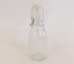 Glass Plant Mister – Decorative Water Sprayer