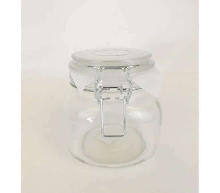 Glass Plant Mister – Decorative Water Sprayer