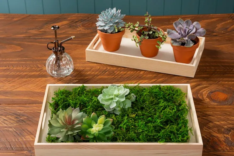 Glass Plant Mister – Decorative Water Sprayer