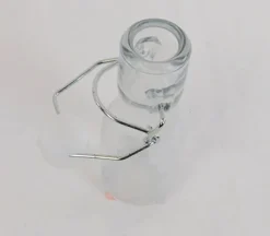 Glass Plant Mister – Decorative Water Sprayer