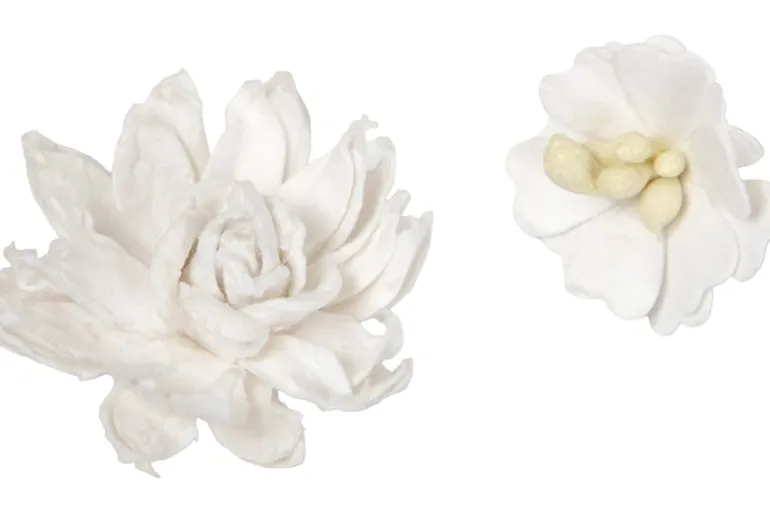 Grad Flower Pack – White