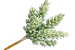 6.5″ Green Jade Succulent Pick