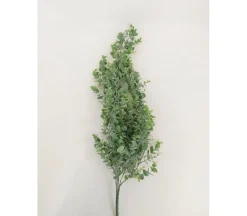 32″ Hanging Eucalyptus Bush