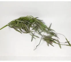 38″ Hanging Leaf Bush