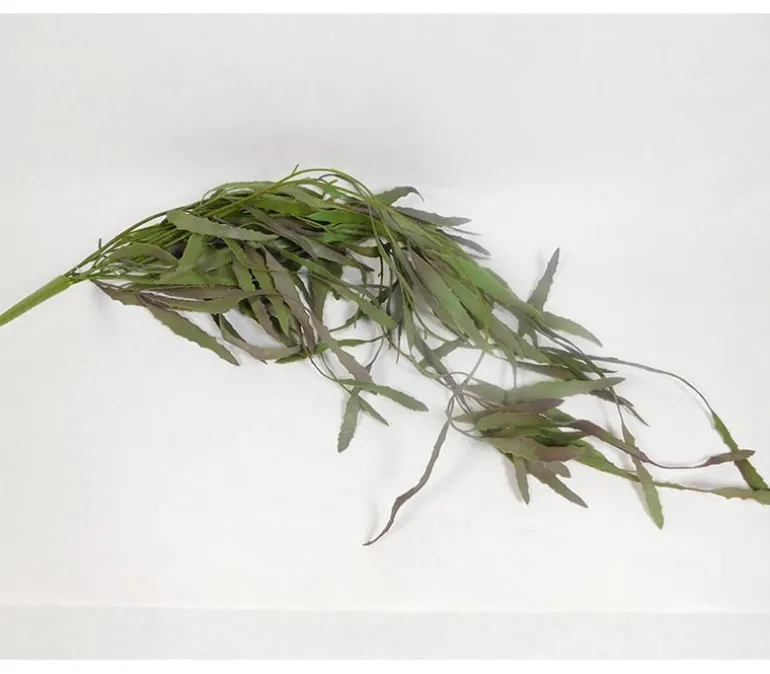 38″ Hanging Leaf Bush